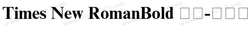 Times New RomanBold 粗体字体转换